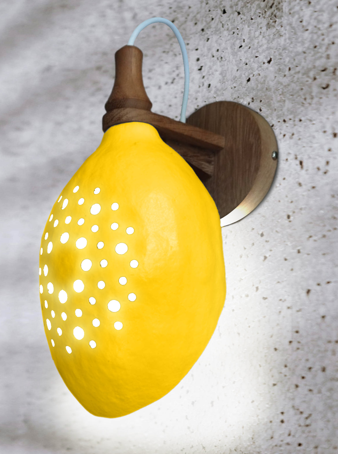 Baobab Wall Light Classic - Eco-Friendly Fruit Shell with Soft Ambient Light, Timeless Design, Ideal for Cozy Ambiance - Recycled Wood Bracket - LED/Energy Saver Bulbs (5W Max)