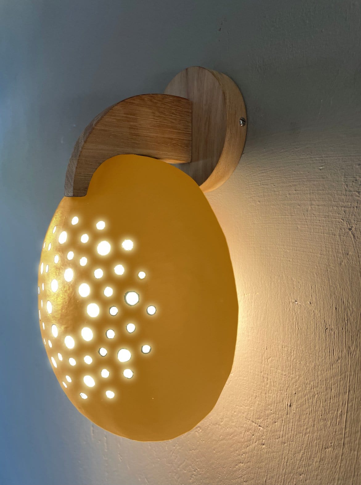 Modern Baobab Wall Light - Eco-Friendly Fruit Shell with Soft Ambient Light, Unique Nature-Inspired Design, Perfect for Reading & Relaxation - Recycled Wood Mount - LED/Energy Saver Bulbs (5W Max)